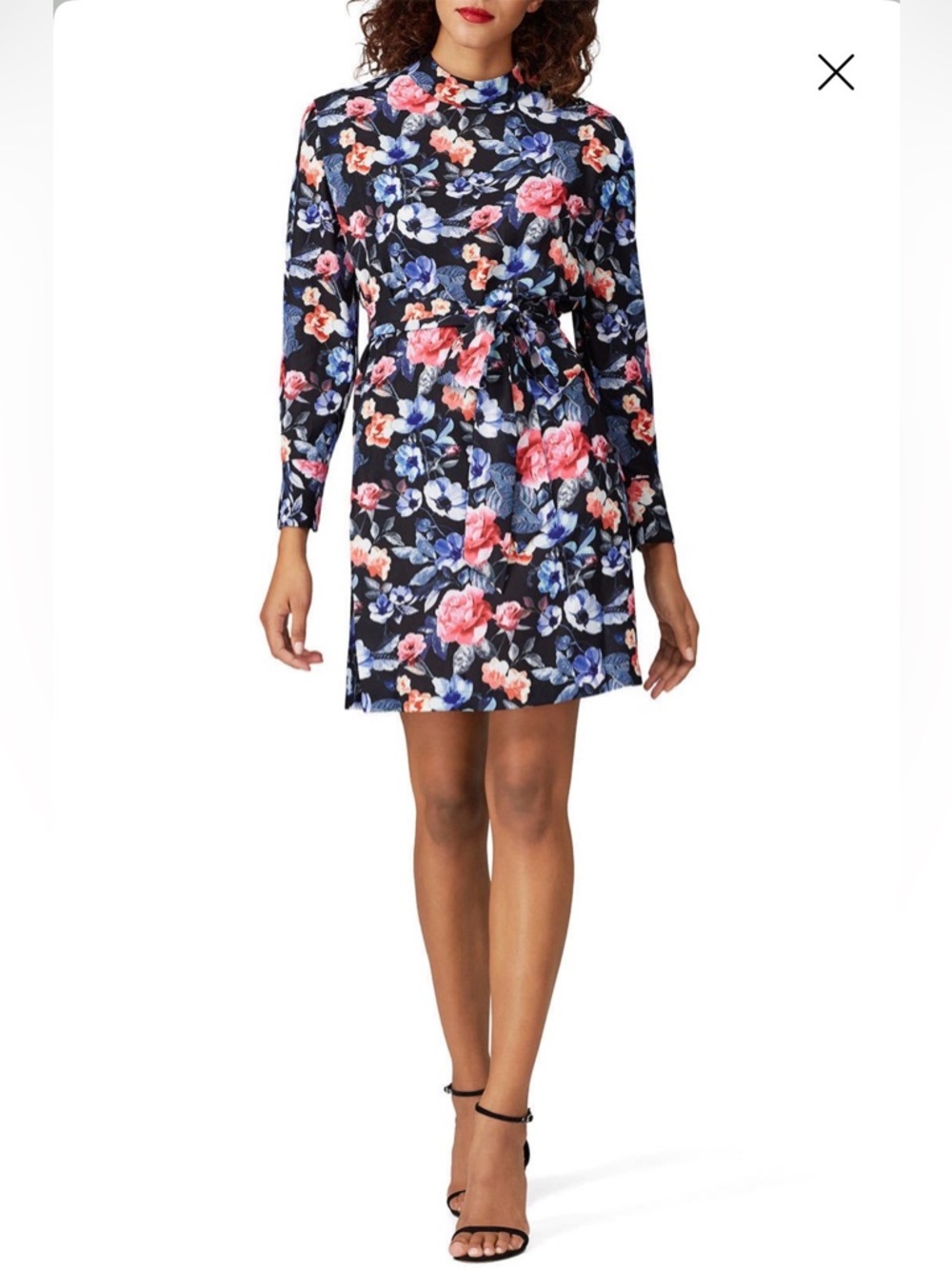 Rebecca Minkoff Floral Trudy Dress